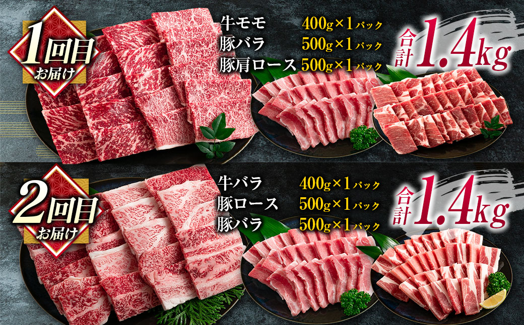 数量限定 6か月 お楽しみ 定期便 宮崎牛 豚肉 焼肉 セット 総