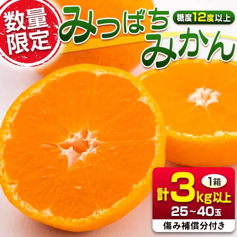 先行予約 みつばちみかん 計3kg以上 傷み補償分付き 期間限定 数量限定 果物 くだもの フルーツ 蜜柑 ミカン 柑橘 オレンジ おやつ デザート みかんジュース 飲み物 小ぶり おすすめ おすそ分け 国産 食品 産地直送 贈り物 お土産 宮崎県 日南市 送料無料_AAV9-25