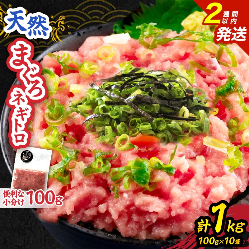 日南市油津港水揚げ 天然 まぐろ ネギトロ 計1kg 魚 魚介 マグロ 鮪 赤身 maguro 小分け 食品 加工品 国産 キハダマグロ まぐろたたき 個包装 おかず ねぎとろ丼 海鮮丼 手巻き寿司 おつまみ 冷凍 おすすめ 海産物 海鮮 宮崎県 日南市 送料無料_BC121-25