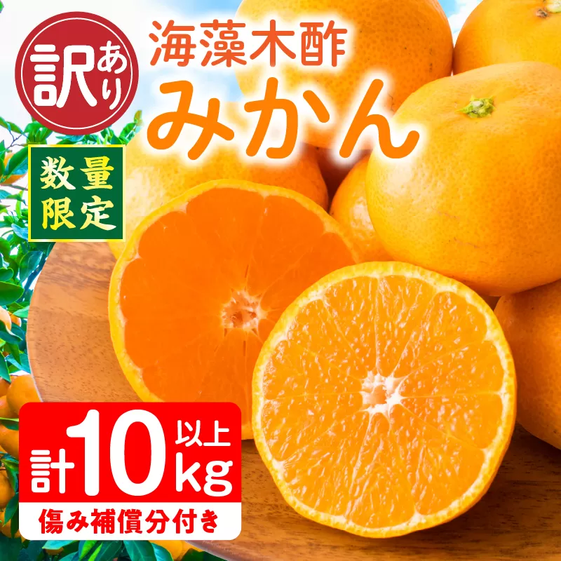 訳あり 数量限定 海藻木酢みかん 計10kg以上 傷み補償分付き フルーツ 果物 くだもの 柑橘 みかん 国産 期間限定 食品 家庭用 自宅用 B品 わけあり オレンジ デザート おやつ おすすめ おすそ分け ご褒美 お取り寄せ グルメ 産地直送 宮崎県 日南市 送料無料_BBV4-25