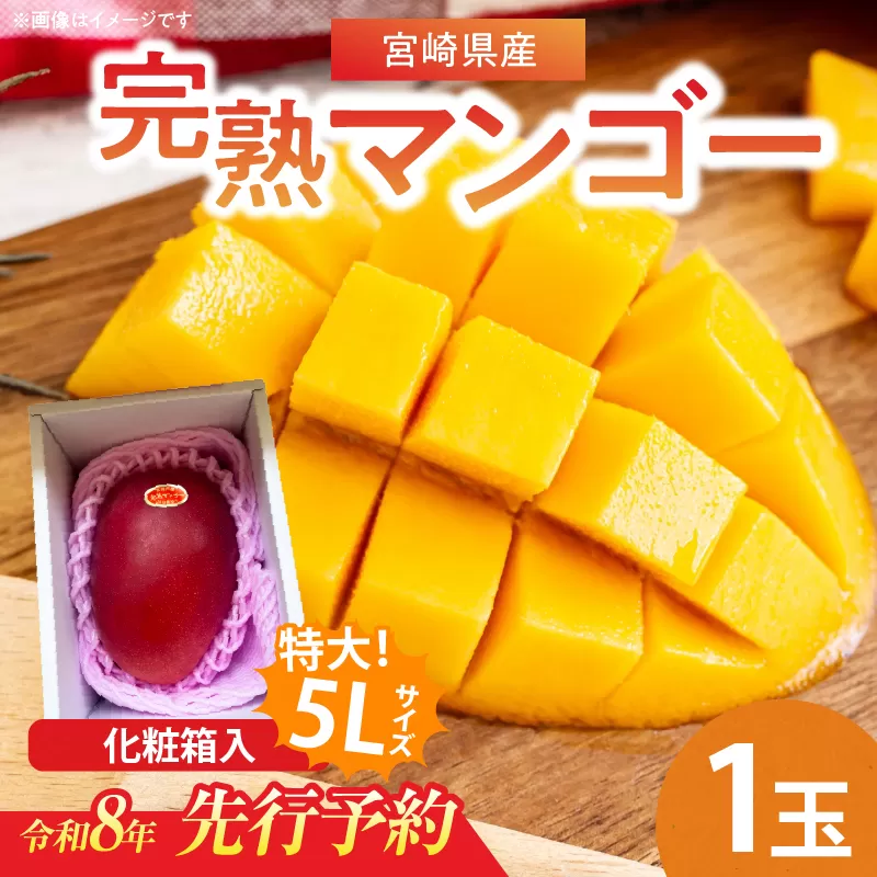 特大5Lサイズ 宮崎県産 完熟マンゴー 1玉 化粧箱入り 令和8年発送分 期間限定 数量限定 フルーツ 果物 くだもの 国産 食品 デザート おすすめ ご褒美 贅沢 産地直送 特大 希少 お祝 お土産 プレゼント ギフト 贈り物 宮崎県 日南市 送料無料_C107-23