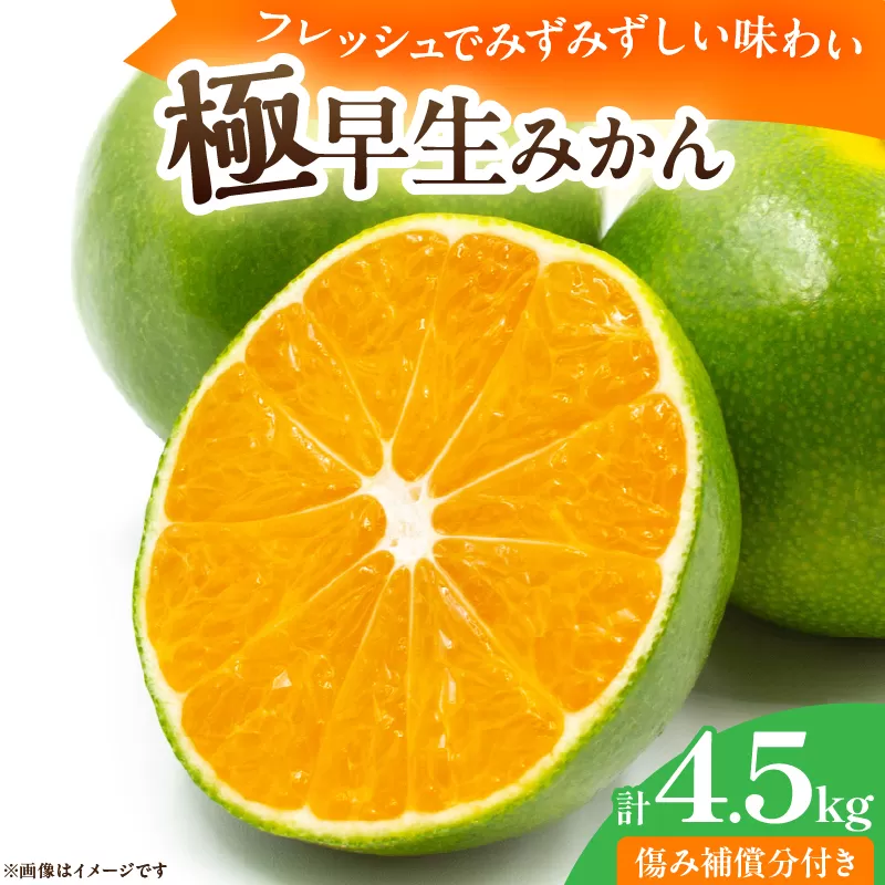 極早生みかん 計4.5kg 傷み補償分付き 期間限定 果物 くだもの フルーツ 蜜柑 ミカン 柑橘 オレンジ おやつ デザート みかんジュース 飲み物 小さい ビタミン補給 おすすめ おすそ分け 国産 食品 産地直送 ギフト 贈り物 お土産 宮崎県 日南市 送料無料_BB159-25