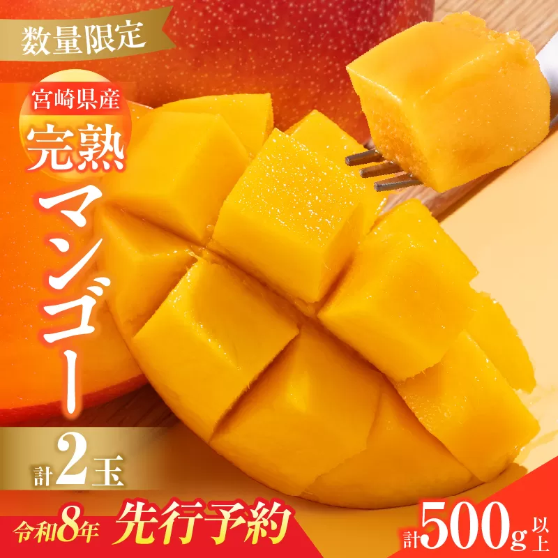 数量限定 宮崎県産 完熟マンゴー 2玉 計500g以上 期間限定 フルーツ スイーツ 果物 くだもの 食品 グルメ デザート 国産 産地直送 人気 おすすめ おやつ 高級 ご褒美 贅沢 贈り物 ギフト プレゼント 令和8年発送分 宮崎県 日南市 送料無料_BD106-25