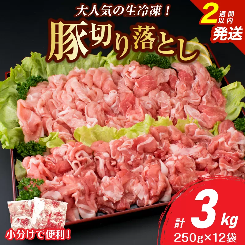 大人気 生冷凍 厳選 豚切り落とし 計3kg 豚肉 おすすめ 国産 食品 焼肉 肉じゃが 豚汁 野菜炒め おかず お弁当 晩ご飯 グルメ 小分け 個包装 真空パック おすそ分け お取り寄せ 新鮮 万能食材 宮崎県 日南市 送料無料_CB111-25-2W