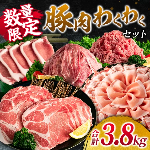 数量限定 豚肉 わくわく セット 合計3.8kg ポーク 国産 豚ロース とんかつ スライス 豚切り落とし 豚バラ しゃぶしゃぶ ミンチ 挽肉 ハンバーグ すき焼き 弁当 おかず おつまみ 万能食材 真空パック 大容量 詰め合わせ お取り寄せ 宮崎県 日南市 送料無料_CD66-25