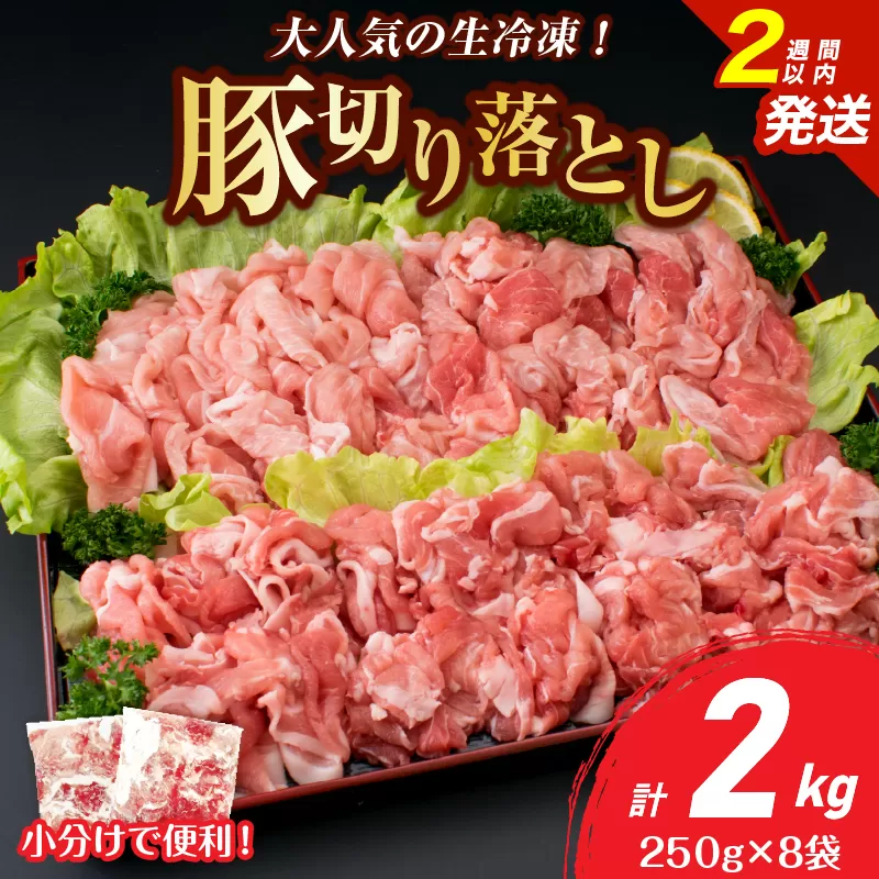 大人気 生冷凍 厳選 豚切り落とし 計2kg 豚肉 おすすめ 国産 食品 焼肉 肉じゃが 豚汁 野菜炒め おかず お弁当 晩ご飯 グルメ 小分け 個包装 真空パック おすそ分け お取り寄せ 新鮮 万能食材 宮崎県 日南市 送料無料_BD111-25-2W