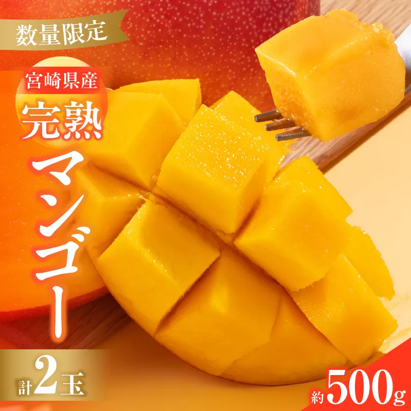 数量限定 宮崎県産 完熟マンゴー 2玉 約500g 期間限定 フルーツ スイーツ 果物 くだもの 食品 グルメ デザート 国産 産地直送 人気 おすすめ おやつ 高級 ご褒美 贅沢 贈り物 ギフト プレゼント お取り寄せ 宮崎県 日南市 送料無料_BD106-25