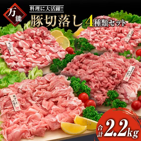豚肉 切り落とし 4種 セット 合計2.2kg 日南市産 ポーク 国産 食品 おかず お弁当 おつまみ 万能食材 豚ロース 豚バラ 豚モモ 豚ウデ 切落し 食べ比べ 人気 おすすめ カレー 焼肉 生姜焼き 炒め物 大容量 お取り寄せ おすそ分け 宮崎県 日南市 送料無料_BC108-25