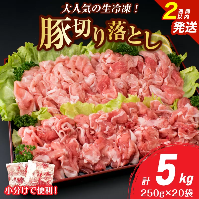 大人気 生冷凍 厳選 豚切り落とし 計5kg 豚肉 おすすめ 国産 食品 焼肉 肉じゃが 豚汁 野菜炒め おかず お弁当 晩ご飯 グルメ 小分け 個包装 真空パック おすそ分け お取り寄せ 新鮮 万能食材 宮崎県 日南市 送料無料_E51-25-2W