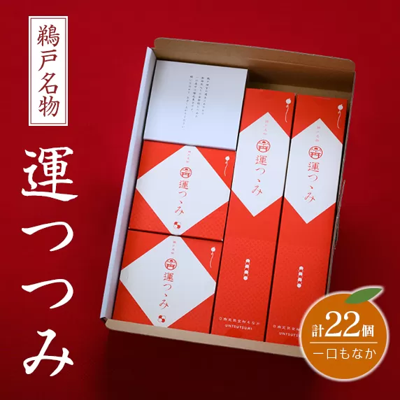 鵜戸名物 一口 もなか 運つつみ 計22個 和菓子 お菓子 完熟金柑 餡子 鵜戸神宮 運玉 最中 お茶菓子 詰め合わせ 縁起物 願掛け 願い事 贈り物 贈答品 ギフト スイーツ おやつ プレゼント あんこ お供え お取り寄せ グルメ おすそ分け 宮崎県 日南市 送料無料_BC75-23