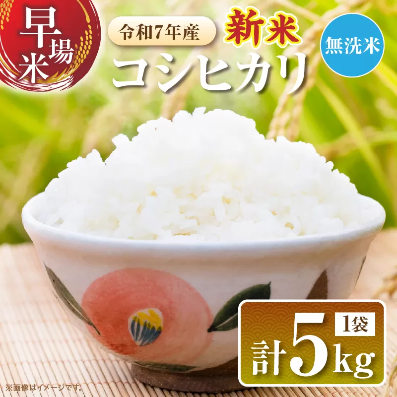 2週間以内に発送 無洗米 令和7年産 新米 コシヒカリ 計5kg 米 期間限定 宮崎県産 お米 ご飯 ライス 国産 人気 食品 精米 白米 こしひかり おにぎり お弁当 炊き込みご飯 雑炊 ギフト 贈り物 お取り寄せ 産地直送 宮崎県 日南市 送料無料_CA80-25