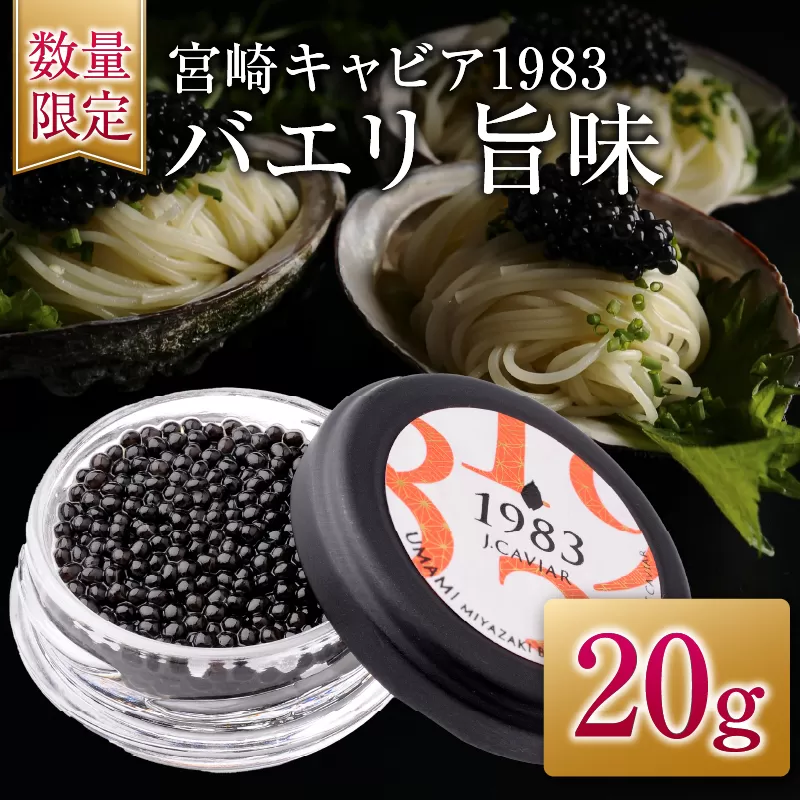 数量限定 宮崎キャビア1983 バエリ 旨味 20g キャビア 魚卵 魚介 国産 食品 加工品 高級 贅沢 三大珍味 黒いダイヤ おつまみ ご褒美 記念日 お祝い パーティー オードブル ギフト 贈り物 贈答 プレゼント お取り寄せ グルメ おすすめ 宮崎県 日南市 送料無料_GE13-25