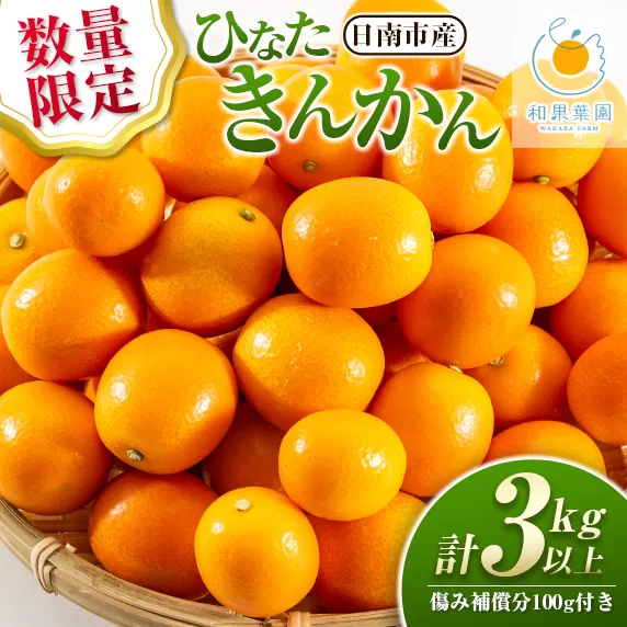ひなたきんかん 計3kg以上 傷み補償分付き 数量限定 期間限定 フルーツ 果物 柑橘 金柑 みかん 人気 おすすめ おすそ分け お土産 プレゼント お取り寄せ グルメ 国産 食品 デザート スイーツ おやつ ブランド 特産品 産地直送 宮崎県 日南市 送料無料_BB160-25