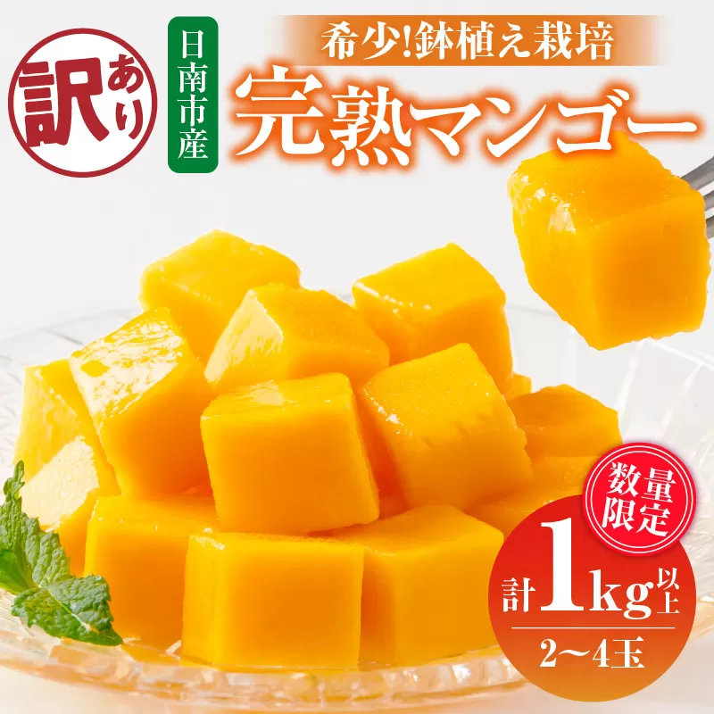 訳あり 数量限定 希少 完熟マンゴー 鉢植え栽培 計1kg以上 期間限定 くだもの 果物 フルーツ 糖度13度以上 日南市産 国産 ご家庭用 食品 デザート おやつ 人気 おすすめ ご褒美 おすそ分け 産地直送 お取り寄せ グルメ トロピカルフルーツ 宮崎県 送料無料_CB95-24