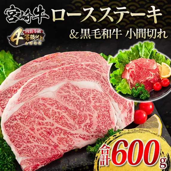 宮崎牛 ロース ステーキ 黒毛和牛 小間切れ セット 合計600g 牛肉 ビーフ 国産 万能食材 ブランド牛 おかず お弁当 おつまみ 食品 おすすめ 焼肉 バーベキュー 鉄板焼き 高級 ご褒美 お祝 記念日 お取り寄せ グルメ 冷凍 詰め合わせ 宮崎県 日南市 送料無料_F62-21