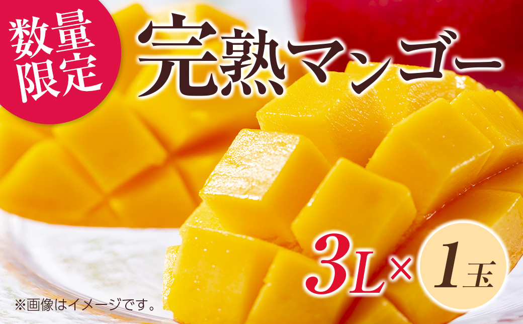 宮崎県産摘果マンゴー 15.5kg 【公式通販】 宮崎県産摘果マンゴー 15.5kg 【公式通販】