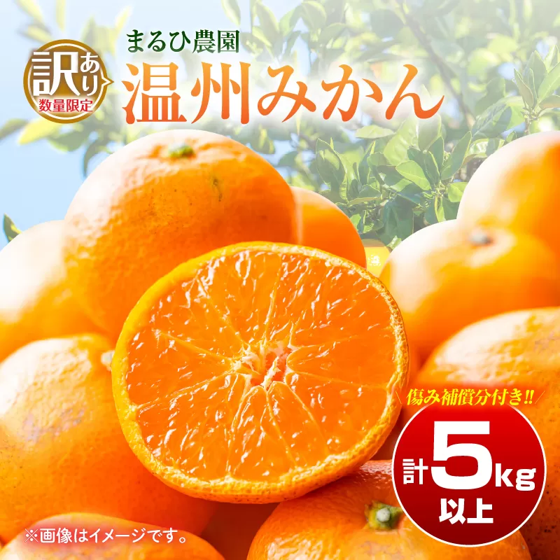 訳あり 温州 みかん 計5kg以上 傷み補償分付き まるひ農園 期間限定 数量限定 フルーツ 果物 くだもの 柑橘 ミカン 国産 食品 デザート おやつ 人気 スイーツ おすすめ ご家庭用 訳アリ ワケあり おすそ分け 新鮮 産地直送 宮崎県 日南市 送料無料_ZZV2-25
