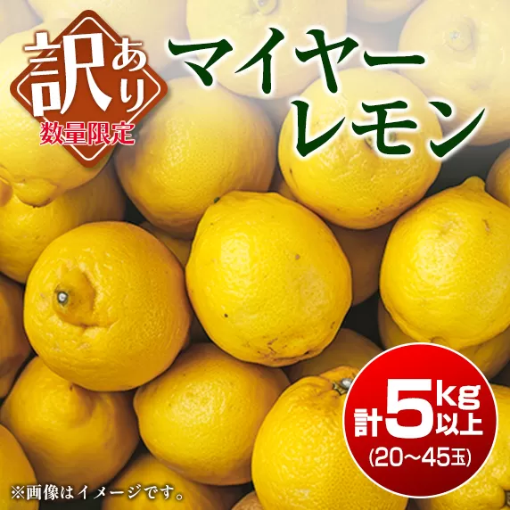 訳あり 数量限定 マイヤーレモン 計5kg以上 フルーツ 果物 柑橘 レモン 檸檬 オレンジ 人気 おすすめ おすそ分け お土産 プレゼント お取り寄せ グルメ 国産 食品 デザート スイーツ ブランド 希少 特産品 産地直送 宮崎県 日南市 送料無料_A89-23