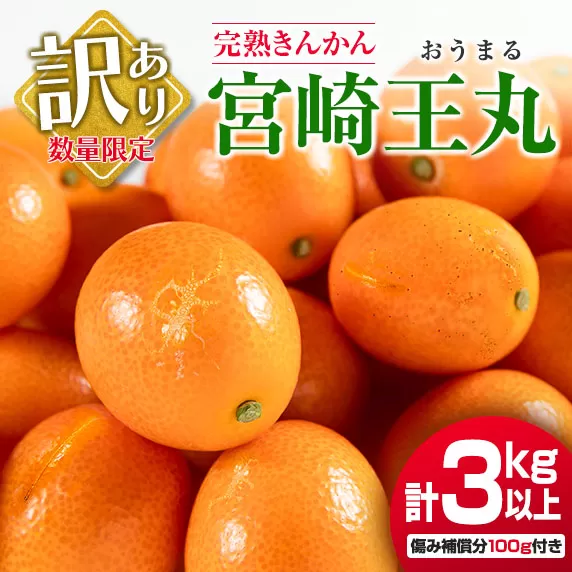 訳あり 数量限定 完熟 きんかん 宮崎王丸 計3kg以上 傷み補償分100g付き フルーツ 果物 柑橘 金柑 みかん オレンジ 人気 おすすめ おすそ分け プレゼント お取り寄せ グルメ 国産 食品 デザート ブランド 希少 特産品 産地直送 宮崎県 日南市 送料無料_AA55-23