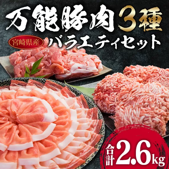万能 豚肉 3種 バラエティ セット 合計2.6kg 国産 ポーク 食品 豚ロース 豚バラ 豚切り落とし 豚ミンチ ひき肉 豚肩 おかず お弁当 おつまみ 焼肉 しゃぶしゃぶ ハンバーグ 炒め物 小分け お祝 パーティー お取り寄せ 詰め合わせ 宮崎県 日南市 送料無料_BA70-23