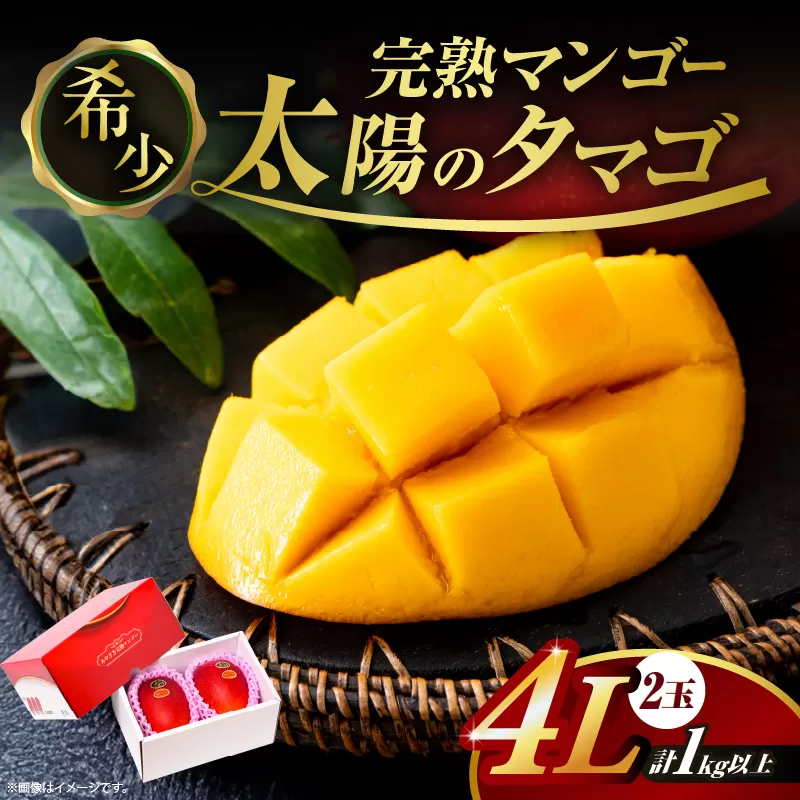完熟マンゴー 太陽のタマゴ 4L × 2玉 期間限定 数量限定 宮崎 マンゴー フルーツ 果物 くだもの 国産 食品 ブランドマンゴー 糖度15度以上 希少 濃厚 デザート おすすめ 冷蔵 ご褒美 贅沢 おすそわけ 化粧箱入り ギフト 贈り物 贈答 日南市 送料無料_IG5-25