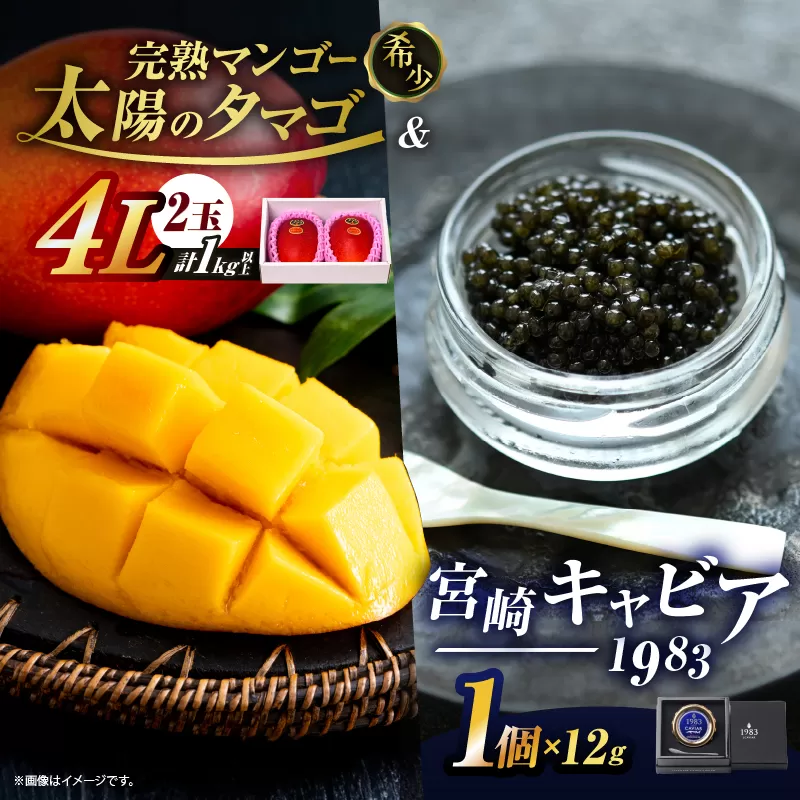 完熟マンゴー 太陽のタマゴ (4L×2玉) ＆ 宮崎キャビア1983 1個 期間限定 数量限定 宮崎 マンゴー フルーツ 果物 くだもの キャビア 魚介 魚卵 詰め合わせ 国産 食品 希少 デザート おすすめ 冷蔵 ご褒美 贅沢 選べる ギフト 贈り物 日南市 送料無料_LF1-25