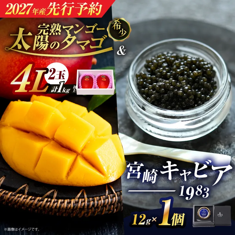 先行予約 完熟マンゴー 太陽のタマゴ (4L×2玉) ＆ 宮崎キャビア1983 1個 2027年産 期間限定 数量限定 宮崎 マンゴー フルーツ 果物 くだもの キャビア 魚介 魚卵 詰め合わせ 国産 食品 希少 デザート おすすめ 冷蔵 ご褒美 贅沢 ギフト 贈り物 日南市 送料無料_LF1-25