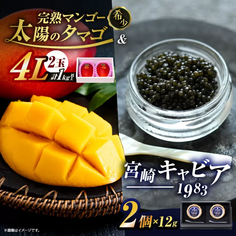 完熟マンゴー 太陽のタマゴ (4L×2玉) ＆ 宮崎キャビア1983 2個 期間限定 数量限定 宮崎 マンゴー フルーツ 果物 くだもの キャビア 魚介 魚卵 詰め合わせ 国産 食品 希少 デザート おすすめ 冷蔵 ご褒美 贅沢 選べる ギフト 贈り物 日南市 送料無料_NG1-25