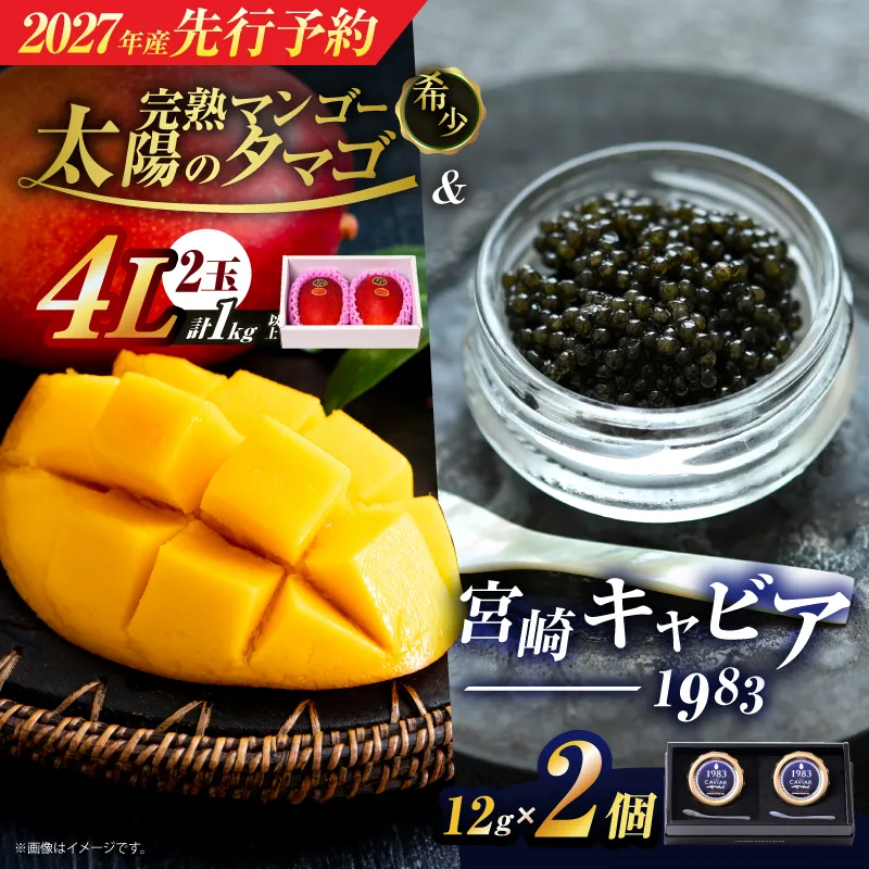 先行予約 完熟マンゴー 太陽のタマゴ (4L×2玉) ＆ 宮崎キャビア1983 2個 2027年産 期間限定 数量限定 宮崎 マンゴー フルーツ 果物 くだもの キャビア 魚介 魚卵 詰め合わせ 国産 食品 希少 デザート おすすめ 冷蔵 ご褒美 贅沢 ギフト 贈り物 日南市 送料無料_NG1-25