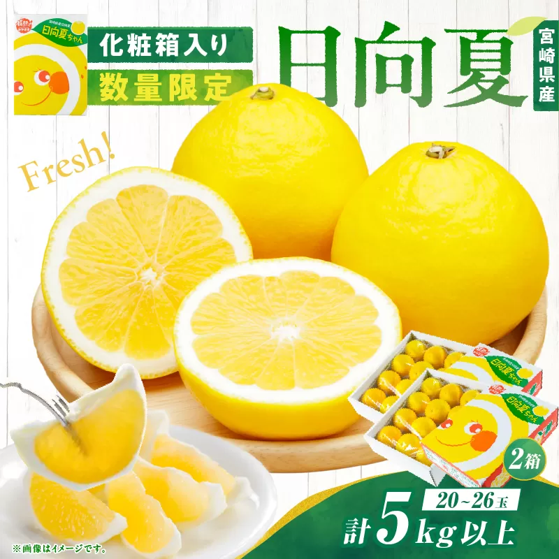 先行予約 日向夏 計5kg以上 化粧箱入り 期間限定 数量限定 果物 フルーツ くだもの 柑橘 みかん 令和8年発送 ジュース フルーツサンド おやつ デザート 国産 食品 おすすめ ギフト 贈り物 贈答 おすそ分け お祝い お返し 宮崎県 日南市 送料無料_CC74-25