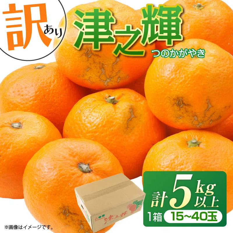 先行予約 訳あり 津之輝 つのかがやき 5kg 希少 L ～ 4L サイズ不揃い フルーツ 果物 くだもの 柑橘 みかん 蜜柑 2027年 令和9年発送 国産 食品 おすすめ デザート みかんジュース 傷 ご家庭用 おすそ分け 宮崎県 日南市 送料無料_BD144-26