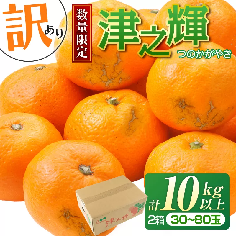 先行予約 訳あり 津之輝 つのかがやき 10kg以上 (5kg×2箱) 希少 期間限定 数量限定 フルーツ 果物 くだもの 柑橘 みかん 令和8年発送 国産 食品 おすすめ デザート おやつ みかんジュース フルーツサンド ご家庭用 おすそ分け 宮崎県 日南市 送料無料_D74-23