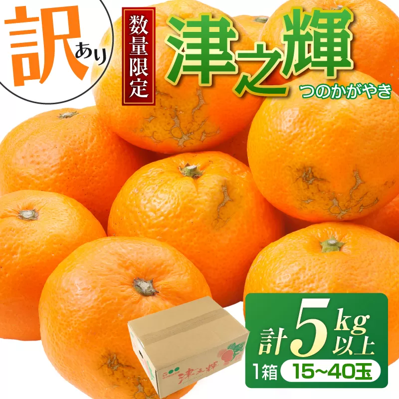 先行予約 訳あり 津之輝 つのかがやき 5kg以上 (5kg×1箱) 希少 期間限定 数量限定 フルーツ 果物 くだもの 柑橘 みかん 令和8年発送 国産 食品 おすすめ デザート おやつ みかんジュース フルーツサンド ご家庭用 おすそ分け 宮崎県 日南市 送料無料_BB86-23