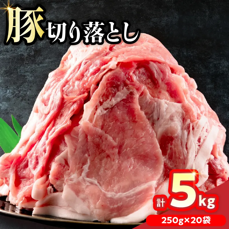 小分けで便利 豚 切り落とし 計5kg お肉 豚肉 ポーク 国産 小分け 真空パック 個包装 万能食材 おすすめ おかず 食品 炒め物 お弁当 豚丼 豚しゃぶ しゃぶしゃぶ 焼肉 お祝い 記念日 ギフト 贈り物 贈答 プレゼント おすそ分け 宮崎県 日南市 送料無料_CD61-24