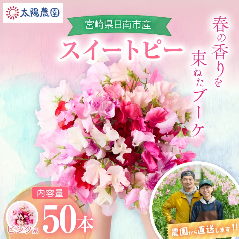 スイートピー 花束 50本 ピンク系 フラワー 期間限定 数量限定 生産者直送 新鮮 花 植物 観賞用 国産 インテリア用品 贈り物 ギフト プレゼント お祝い 誕生日 記念日 人気 おすすめ 癒し 宮崎県 日南市 送料無料_CB122-26