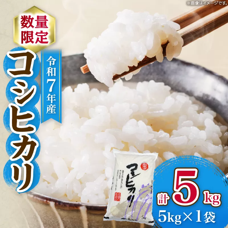 令和7年産 コシヒカリ 計5kg お米 ご飯 ライス 国産 数量限定 期間限定 人気 食品 精米 白米 こしひかり 有洗米 おにぎり お弁当 炊き込みご飯 雑炊 ギフト プレゼント 贈り物 お取り寄せ 産地直送 宮崎県 日南市 送料無料_BC134-25