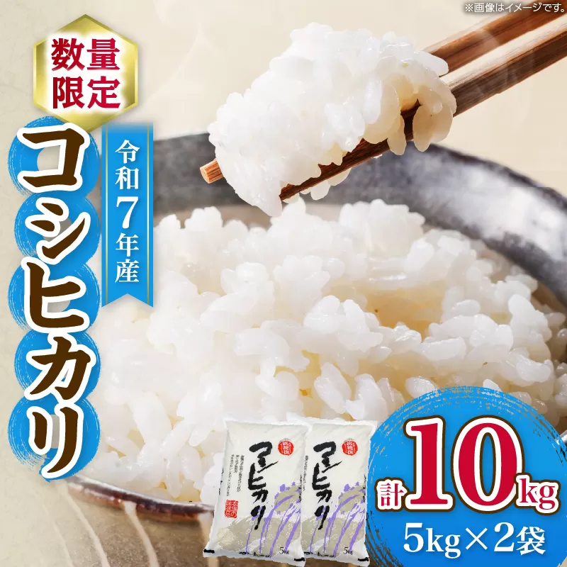 令和7年産 コシヒカリ 計10kg お米 ご飯 ライス 国産 数量限定 期間限定 人気 食品 精米 白米 こしひかり 有洗米 おにぎり お弁当 炊き込みご飯 雑炊 ギフト プレゼント 贈り物 お取り寄せ 産地直送 宮崎県 日南市 送料無料_E55-25