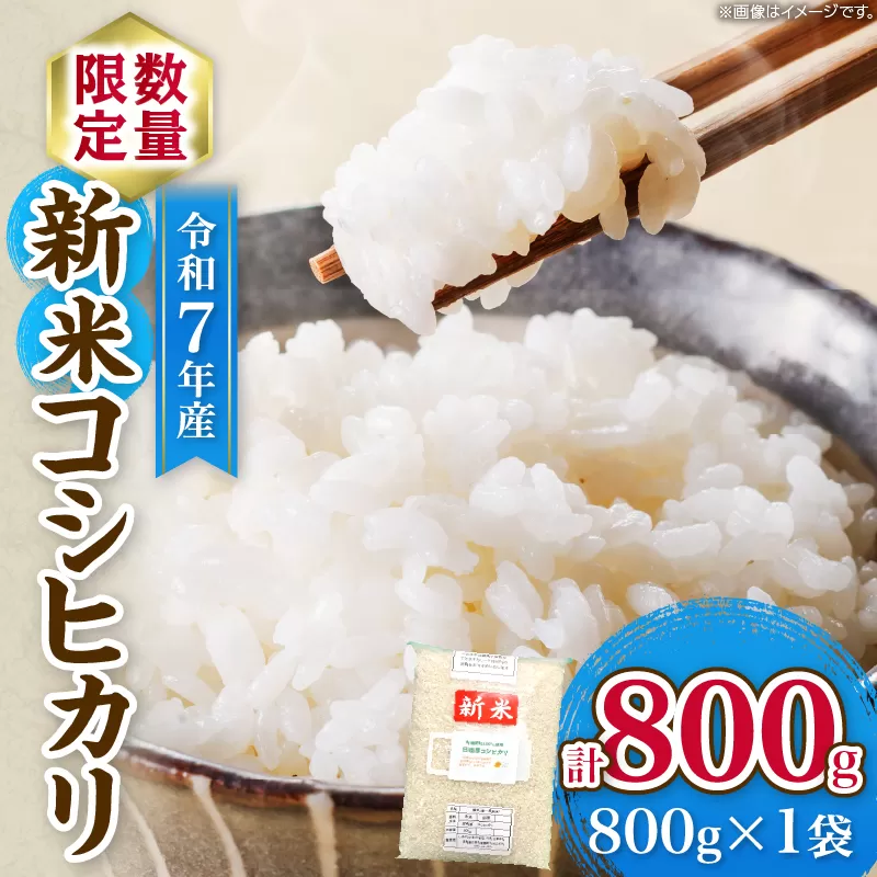 令和7年産 新米 コシヒカリ 計800g お米 ご飯 ライス 国産 数量限定 人気 食品 精米 白米 こしひかり 有洗米 おにぎり お弁当 炊き込みご飯 雑炊 ギフト プレゼント 贈り物 お取り寄せ 産地直送 宮崎県 日南市 送料無料_ZVV2-25