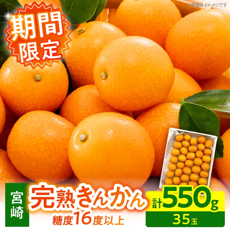 【1週間以内発送】ゴトウさんの 宮崎 完熟 きんかん 約550g(計35玉) 期間限定 フルーツ 果物 くだもの 金柑 柑橘 青果 キンカン 国産 食品 人気 おすすめ ギフト 贈り物 贈答 おすそ分け お礼 新鮮 産地直送 高糖度 甘い 選べる 宮崎県 日南市 送料無料_ZW2-25
