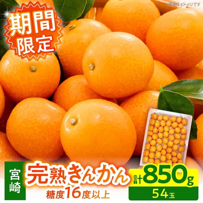 【1週間以内発送】ゴトウさんの 宮崎 完熟 きんかん 約850g(計54玉) 期間限定 フルーツ 果物 くだもの 金柑 柑橘 青果 キンカン 国産 食品 人気 おすすめ ギフト 贈り物 贈答 おすそ分け お礼 新鮮 産地直送 高糖度 甘い 選べる 宮崎県 日南市 送料無料_ZX12-25