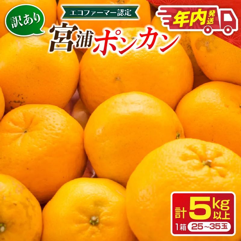 年内発送 訳あり 宮浦 ポンカン 5kg 先行予約 フルーツ 果物 くだもの 柑橘 みかん 蜜柑 ワケアリ 不揃い 国産 食品 おやつ デザート みかんジュース おすすめ 旬 ご家庭用 自宅用 傷 おすそ分け 産地直送 選べる 宮崎県 日南市 送料無料_AAV23-26