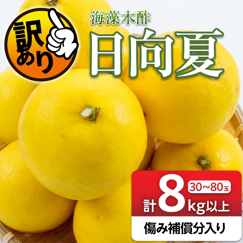 先行予約 訳あり 海藻木酢 日向夏 小夏 計8kg以上 傷み補償分入り フルーツ 果物 くだもの 柑橘 みかん 訳アリ 国産 食品 デザート おやつ おすそ分け おすすめ ご家庭用 ご自宅用 B品 傷 マーマレード 産地直送 宮崎県 日南市 送料無料_BB179-26