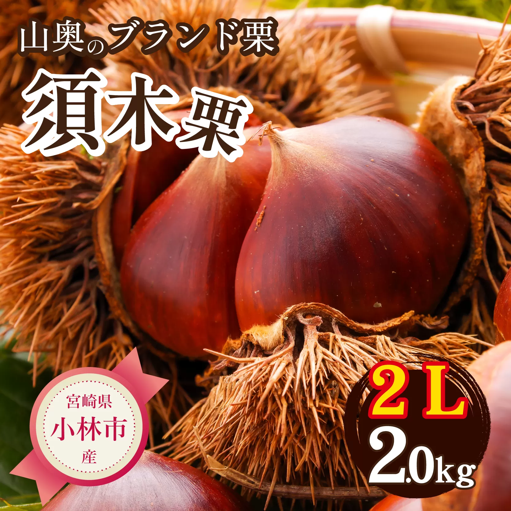 【山奥のブランド栗】すきすき須木栗 2Lサイズ以上 2kg（生栗 くり マロン 甘露煮 栗ご飯 限定）