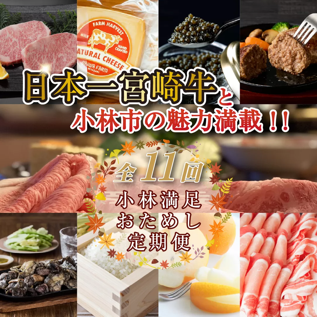 【定期便・全11回】日本一宮崎牛と小林市の魅力満載!!小林満足おためし定期便 20万円コース(国産 牛肉 国産牛 和牛 黒毛和牛 フルーツ お菓子 豚肉 鶏肉 キャビア 定期便)