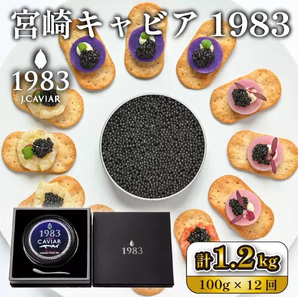 【定期便・全12回】＜国際線ファーストクラス採用＞宮崎キャビア1983 100g×12回（国産 キャビア 魚卵 宮崎県 宮崎 小林市 定期便）