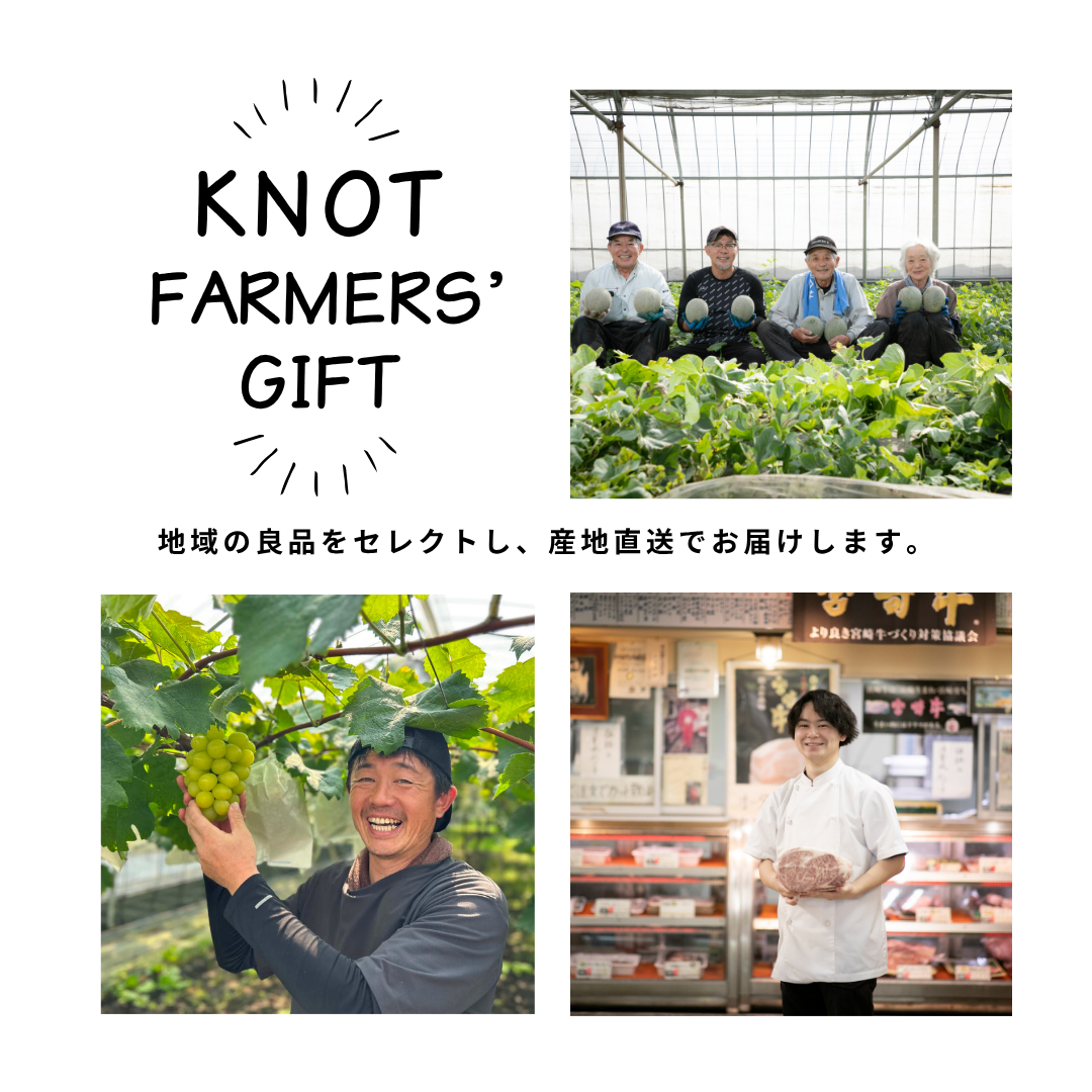 2026年発送 先行予約】生産農家応援・濃厚果肉 みやざき完熟マンゴー