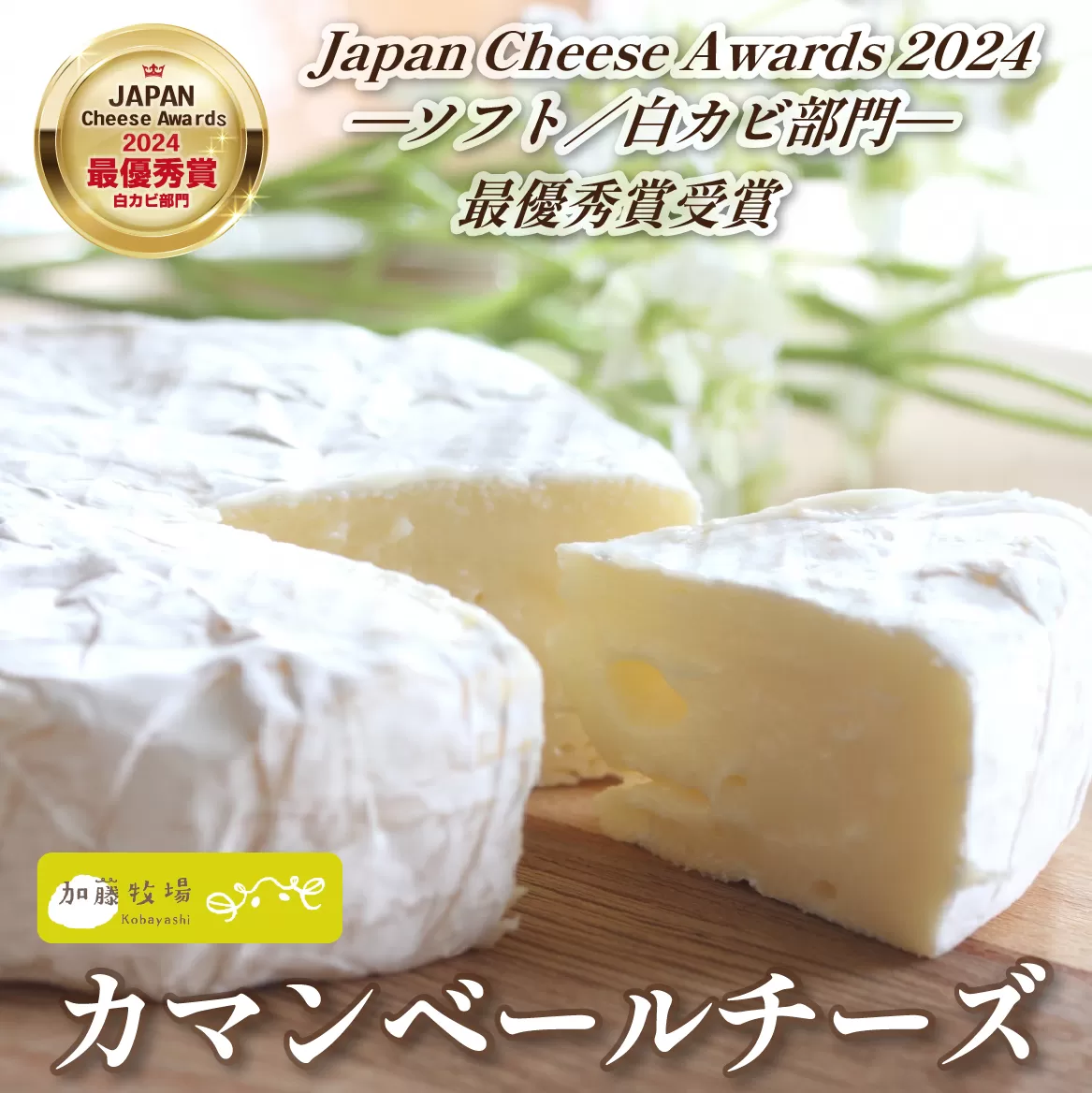 【国内コンテスト最優秀賞受賞!】カマンベールチーズ 1個 100g (チーズ 国産 乳製品 生乳 国産チーズ ノンホモ 手作り 人気)