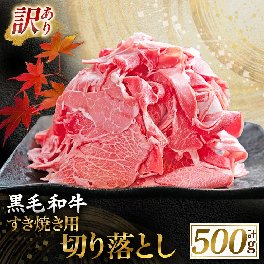 【訳あり】宮崎県産黒毛和牛すき焼き用切り落とし 500g(国産 牛肉 和牛 薄切り スライス 切り落とし 赤身 訳あり)