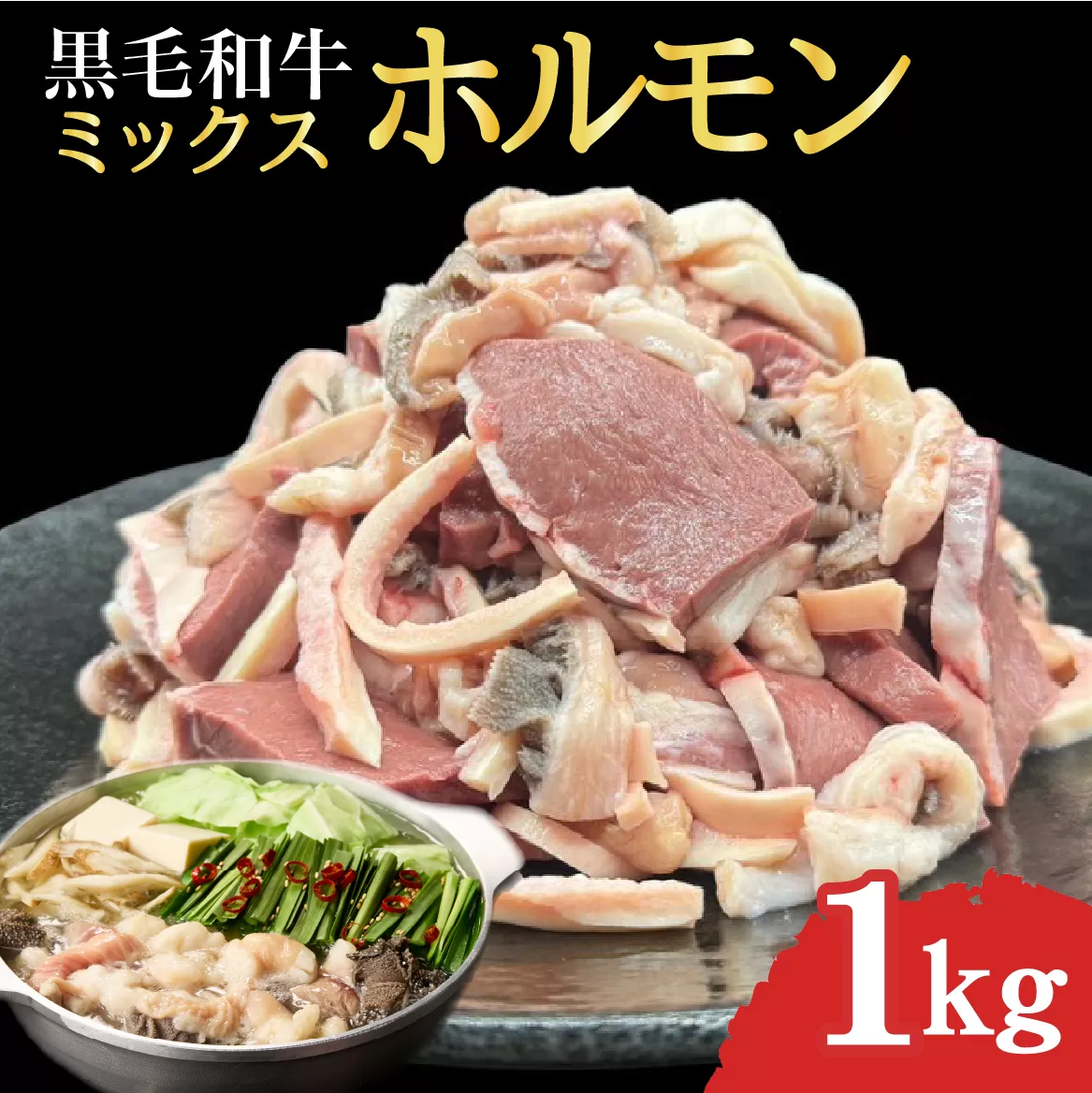 宮崎県産 ミックス ホルモン 500g×2P 計1kg(牛肉 肉 ホルモン 黒毛和牛 もつ鍋 焼肉 鍋)