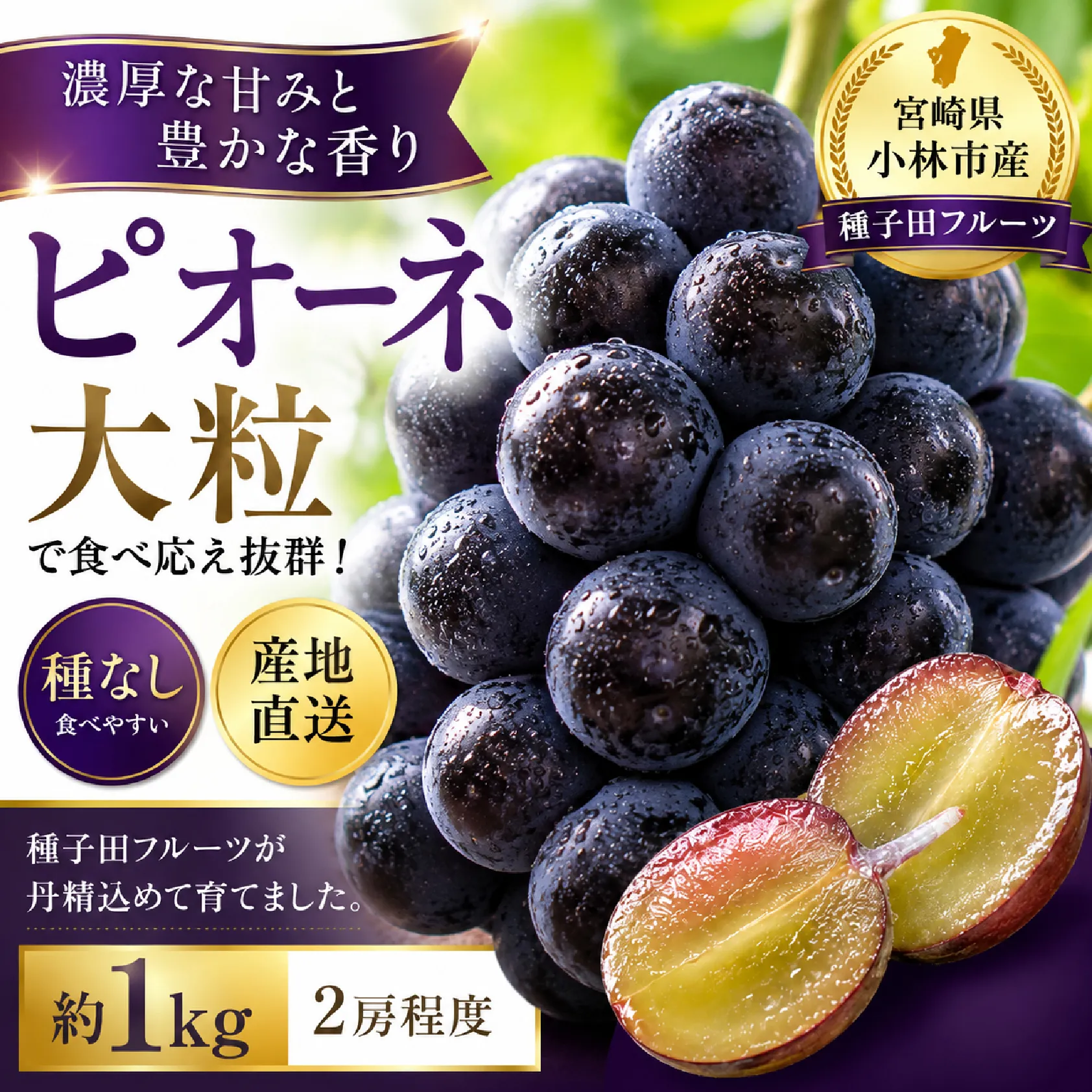 大粒・種なし ピオーネ(ニューピオーネ)1kg ぶどう 葡萄 フルーツ